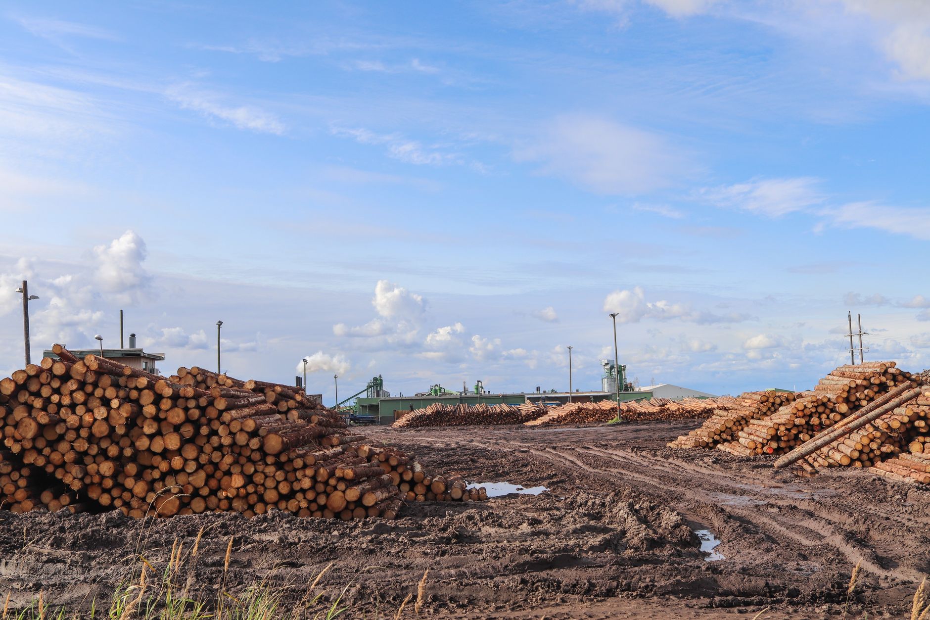 Stablede stammestykker på lagerplads